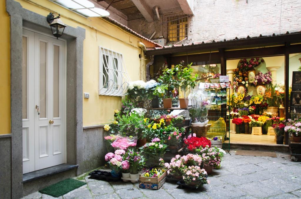 Apartmán Casa Tonia San Cesareo Sorrento Pokoj fotografie